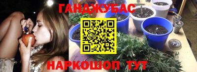 ECSTASY Заводоуковск