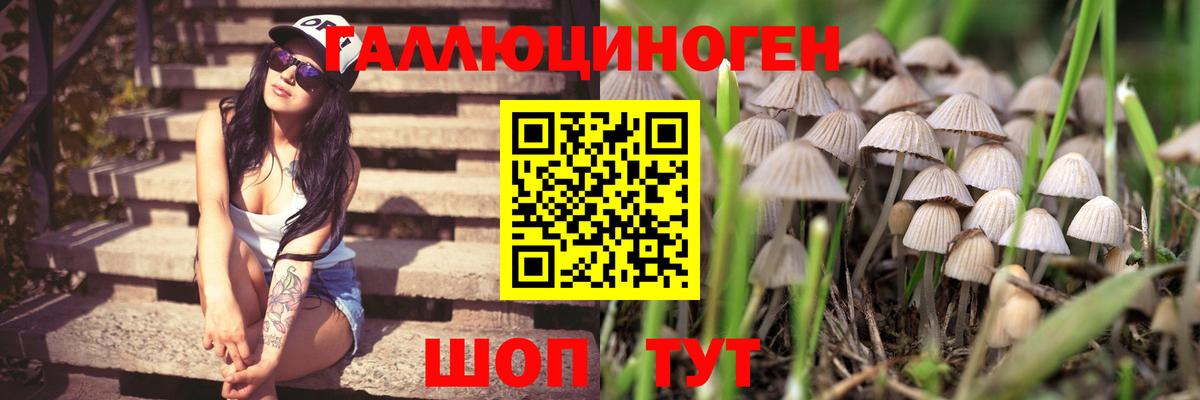 Галлюциногенные грибы мухоморы Медногорск